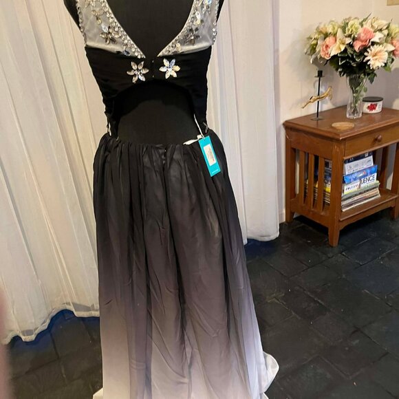 Long Black and White Dress - Picture 4 of 5